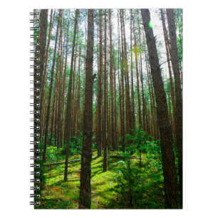 Nature Landscape Scenery Forest Trees Belarus Notebook