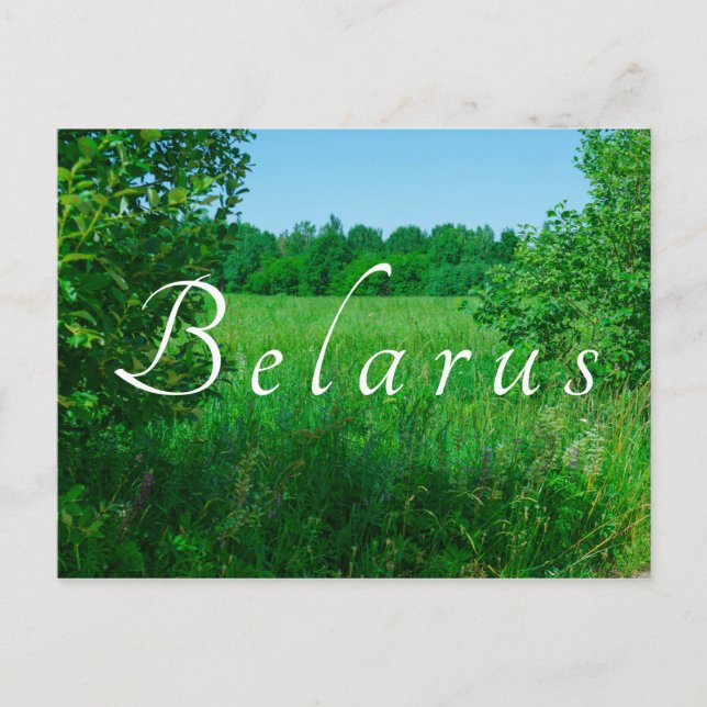 Nature Landscape Scenery Green Field Forest Postcard (Front)