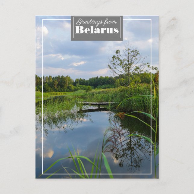 Nature Landscape Scenery Lake Belarus Postcard (Front)