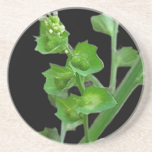 NATURE LOVE NATURE GIFT COASTER