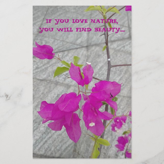 NATURE LOVER GIFT  STATIONERY (Front)