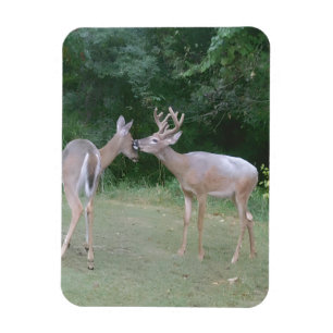 Nature Lover Magnet