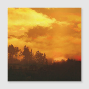 NATURE MORNING SUNRISE