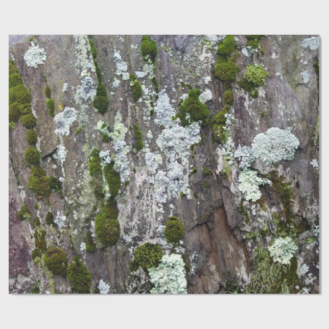 Nature Moss Lichen Camouflage Photo Wrapping Paper (Flat)