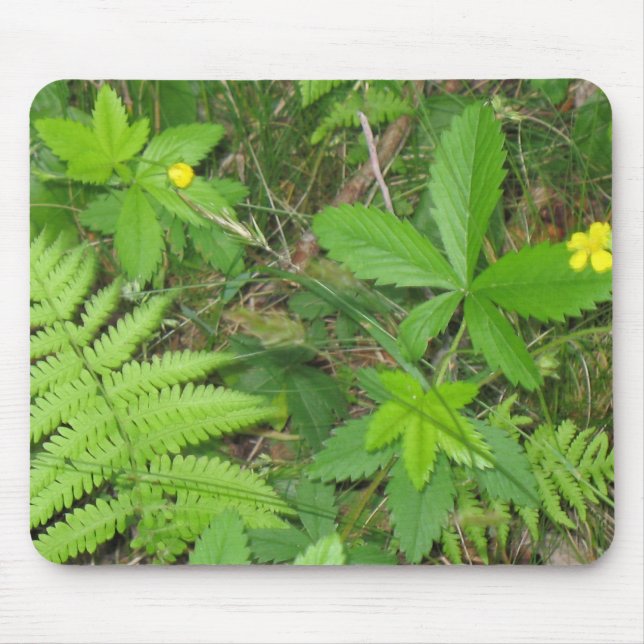 Nature Mouse Pad (Front)