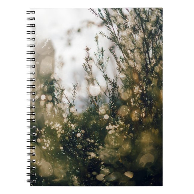 NATURE  NOTEBOOK (Front)