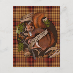 Nature Nut Squirrel Postcard