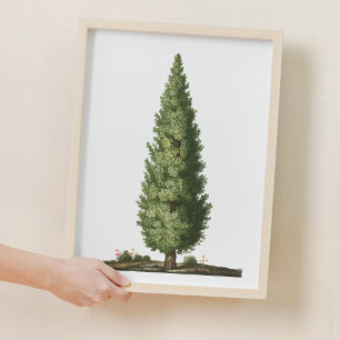 Nature Oak Tree Woodland Nursery Decor