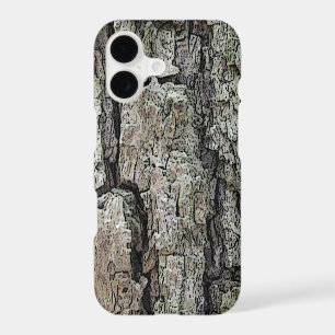 Nature Old Pine Bark Photo