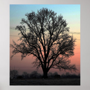 Nature or Nurture? Poster