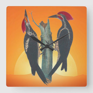 Nature Pair of Wild WoodPeckers Square Wall Clock