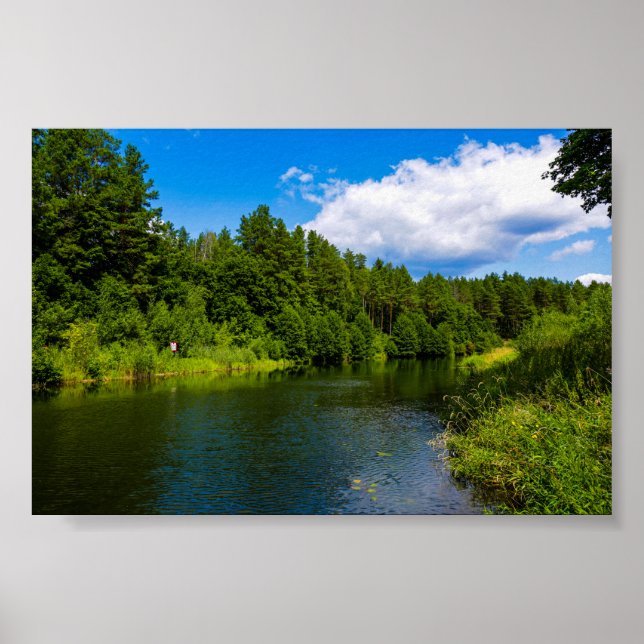 Nature Paysage Lac Arbres Biélorussie Poster (Devant)