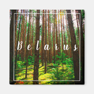 Nature Paysage Paysage Forêt Biélorussie Magnet