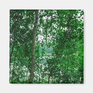 Nature Paysage Paysage Forêt Biélorussie Magnet
