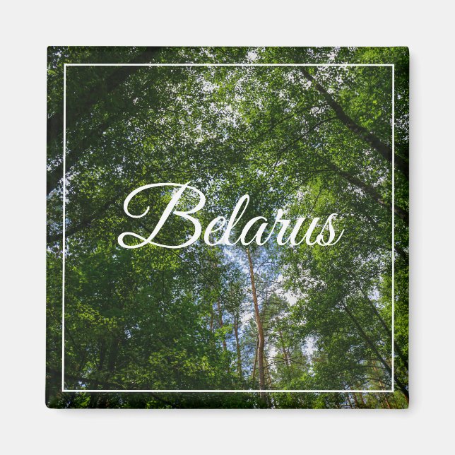 Nature Paysage Paysage Forêt Biélorussie Magnet (Devant)