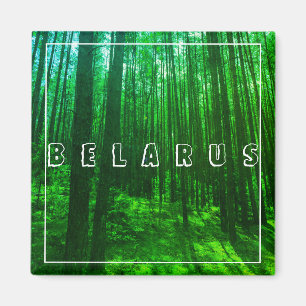 Nature Paysage Paysage Forêt Biélorussie Magnet