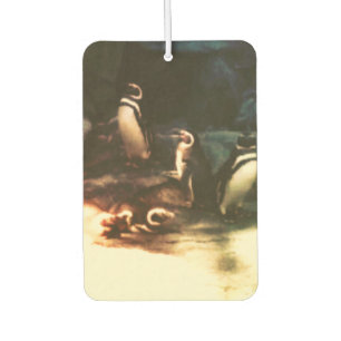 Nature Penguin Photography Art Air Freshener