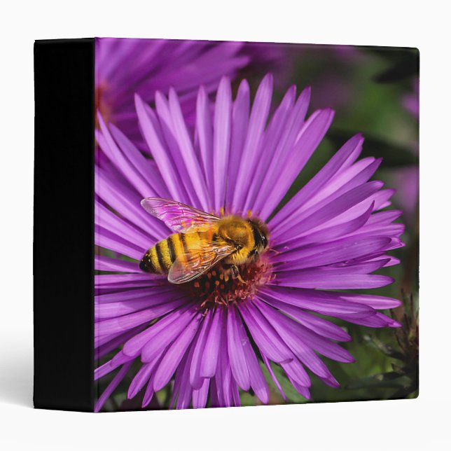 Nature Photo of a Bumble Bee on a Flower Binder (Front/Spine)