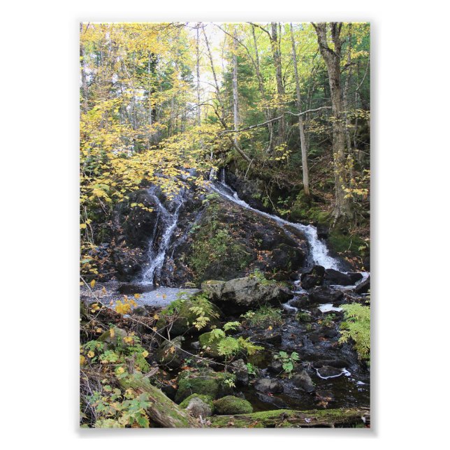 Nature Photo Print (Front)