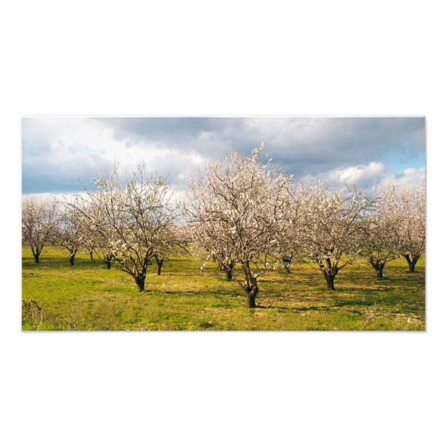 nature photo print (Front)