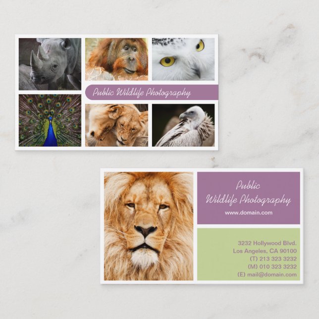 Nature Photographer Outdoors Wildlife Photography Business Card (Front/Back)