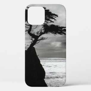 Nature Photography Black and White iPhone 12 Case