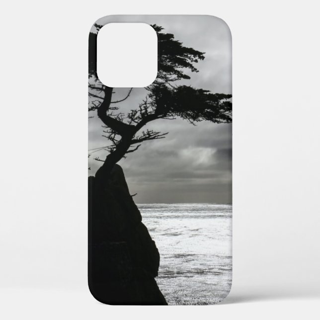 Nature Photography Black and White Case-Mate iPhone Case (Back)