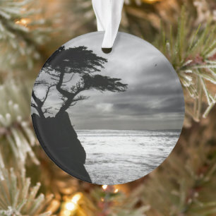 Nature Photography Black and White Ornament