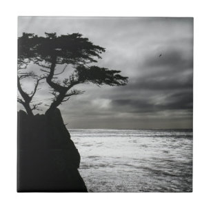 Nature Photography Black and White Tile
