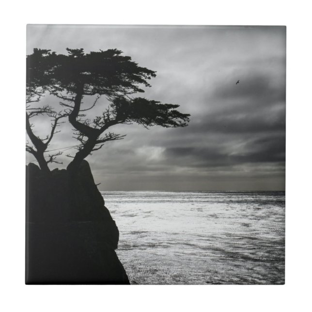 Nature Photography Black and White Tile (Front)