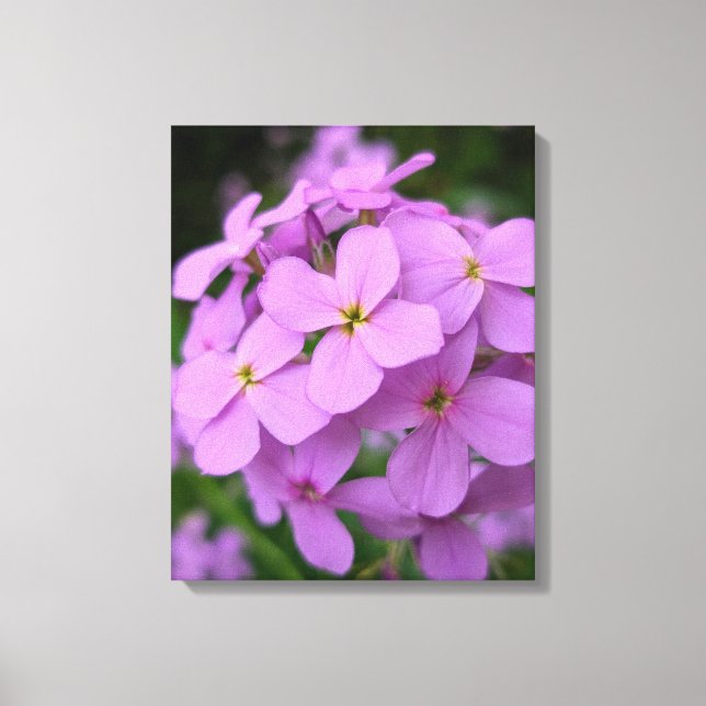 Nature Photography Canvas Print (Front)