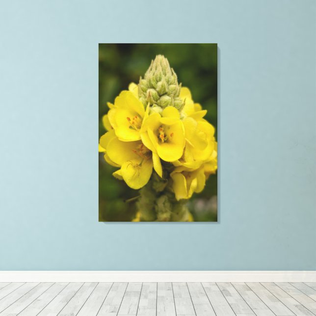 Nature Photography Canvas Print (Insitu(Wood Floor))