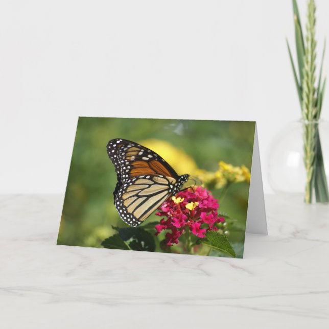 Nature Photography Card (Front)