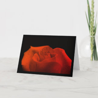 Nature Photography Card