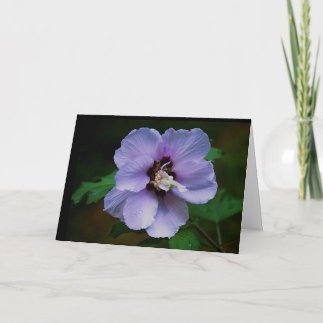 Nature Photography Card (Front)