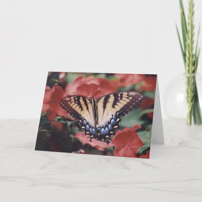 Nature Photography Card (Front)
