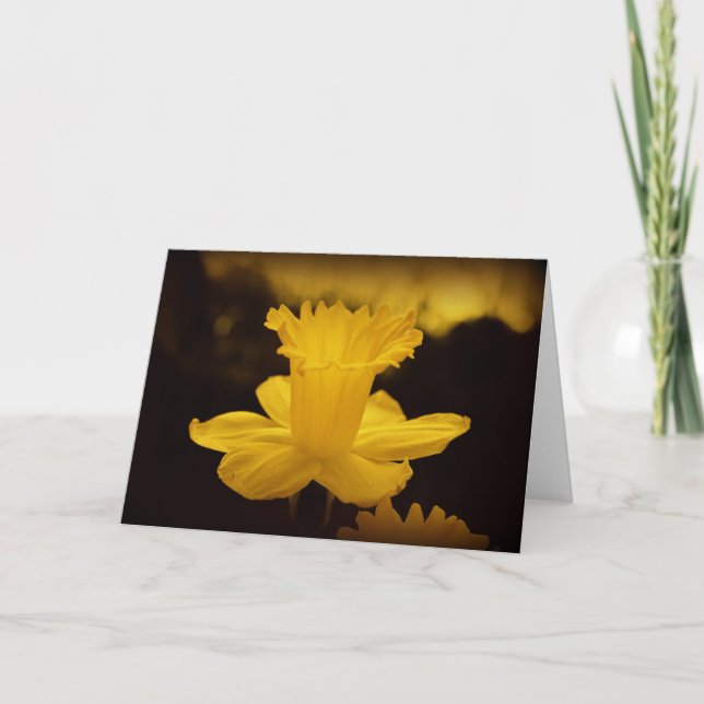 Nature Photography Card (Front)