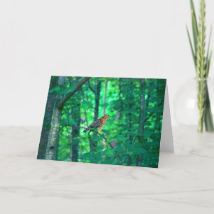 Nature Photography Card