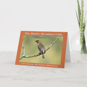 Nature Photography Cedar Waxwing Birder Card