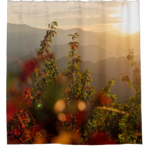 NATURE PHOTOGRAPHY OF GREEN TREES OVERLOOKING MOUN