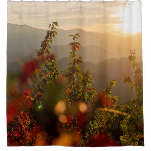 Nature photography of green trees overlooking moun
