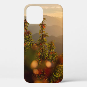 NATURE PHOTOGRAPHY OF GREEN TREES OVERLOOKING MOUN iPhone 12 CASE