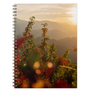 Nature photography of green trees overlooking moun notebook