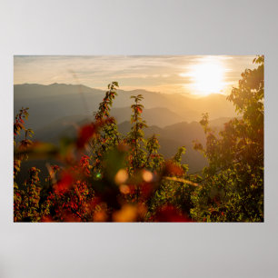 Nature photography of green trees overlooking moun poster