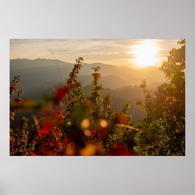 Nature photography of green trees overlooking moun poster (Front)