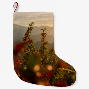NATURE PHOTOGRAPHY OF GREEN TREES OVERLOOKING MOUN SMALL CHRISTMAS STOCKING