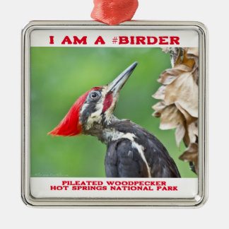 Nature Photography Pileated Woodpecker Birder Metal Ornament