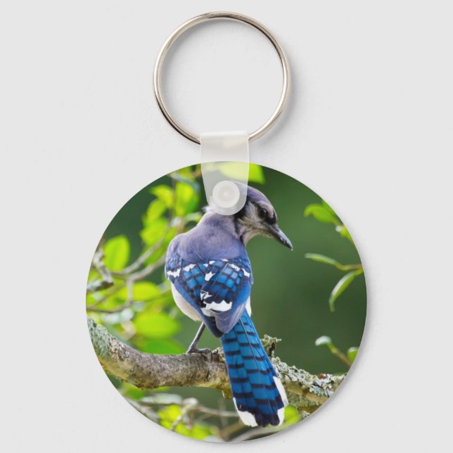 Nature Photography Shy Blue Jay Apparel Gifts Keychain (Front)