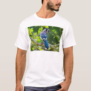 Nature Photography Shy Blue Jay Apparel Gifts T-Shirt