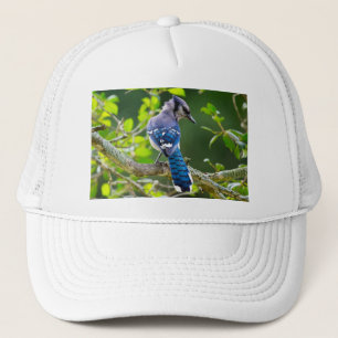 Nature Photography Shy Blue Jay Apparel Gifts Trucker Hat
